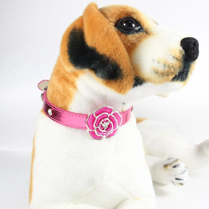 Paw-some Blossom Collar