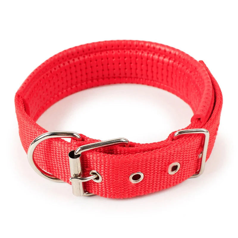 FlexFit Dog Collar