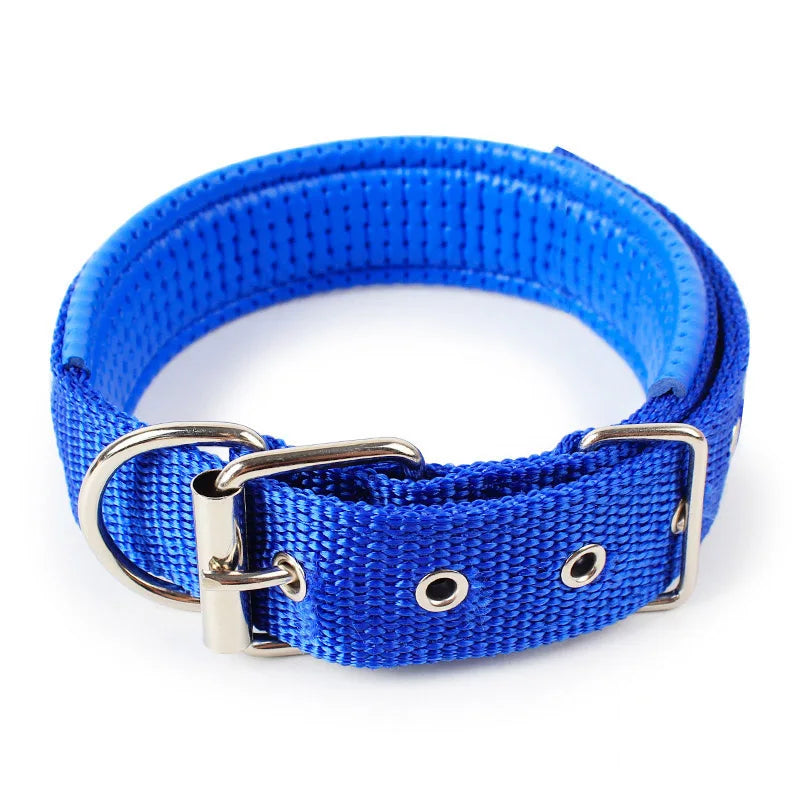 FlexFit Dog Collar