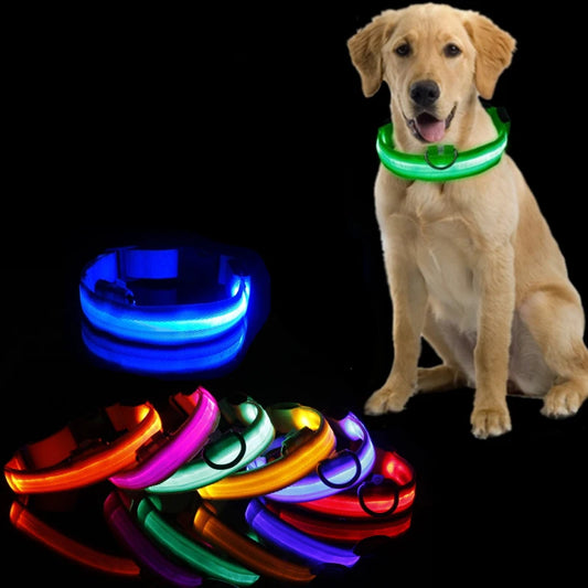 GloPet Collar