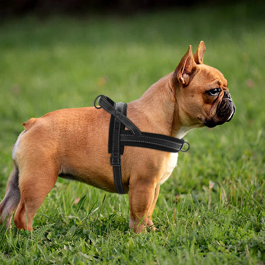 Warm Dog Harness Vest