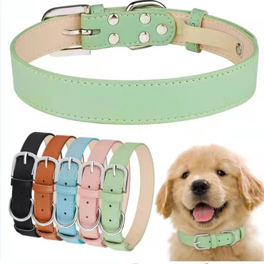 The Everyday Charm Collar