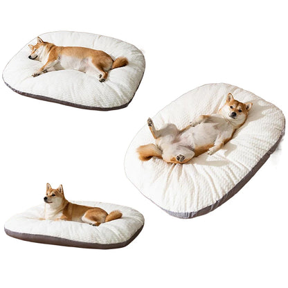 Cloud Cushion Bed