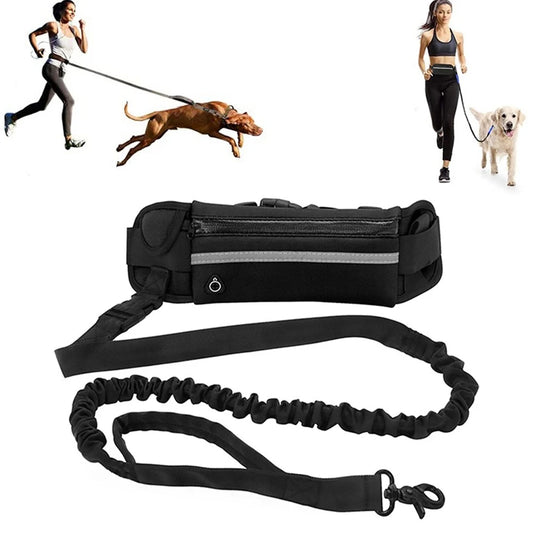 PawFlex Leash