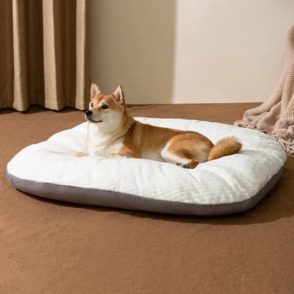 Cloud Cushion Bed