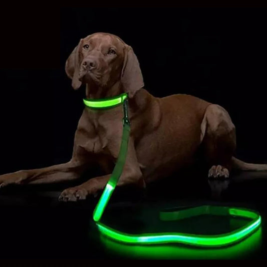 Paw Light Way leash