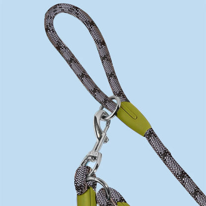 Doodle Loop Leash