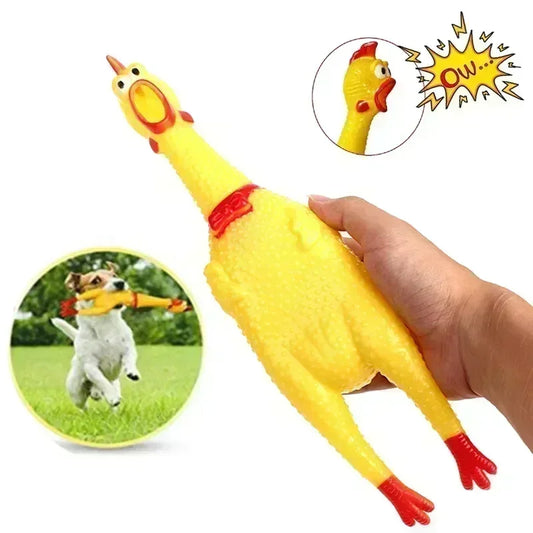 ChuckleCluck Toy