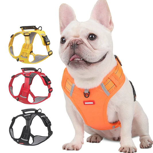 SafetyStride Harness