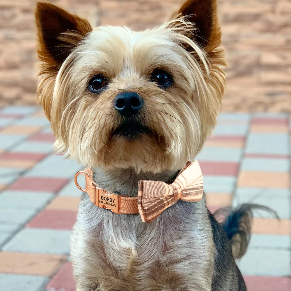 Bowtie Bliss Collar