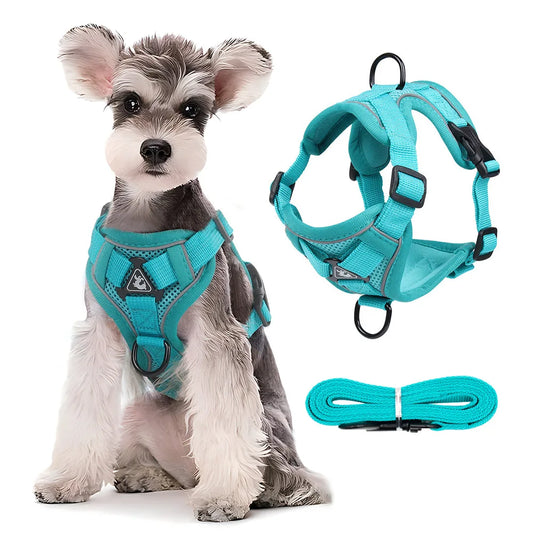 Bling and Bleam Harness