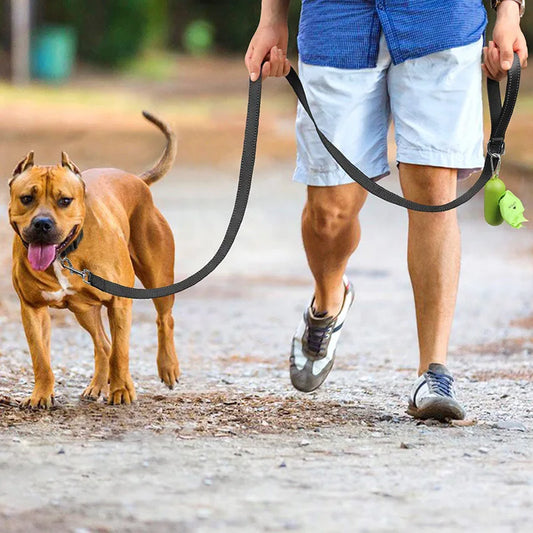 Shine and Stride Leash