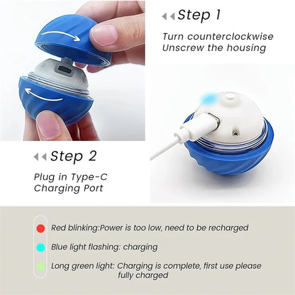 SmartPlay Dog Toy