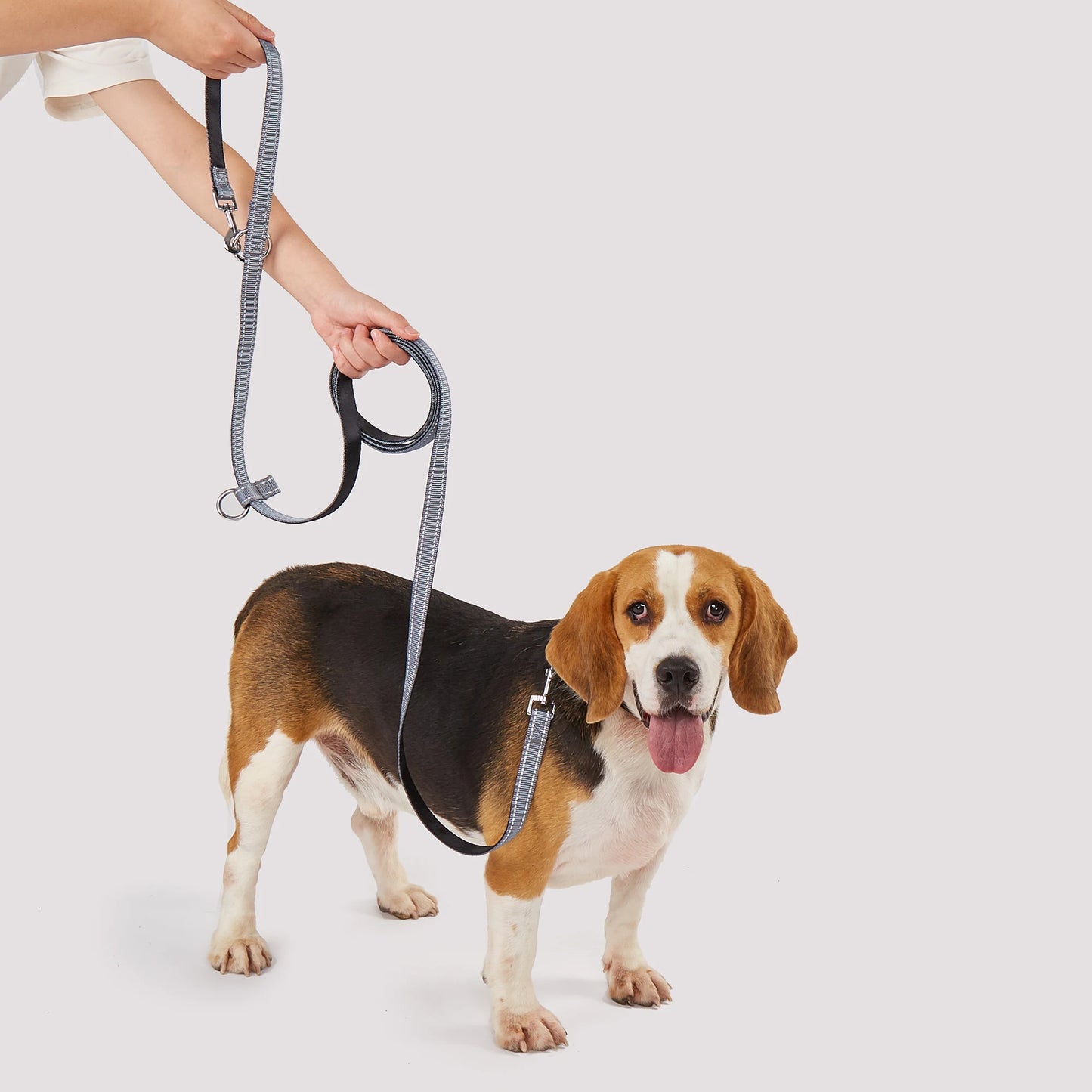 FlexiPaw Dual Dog Leash