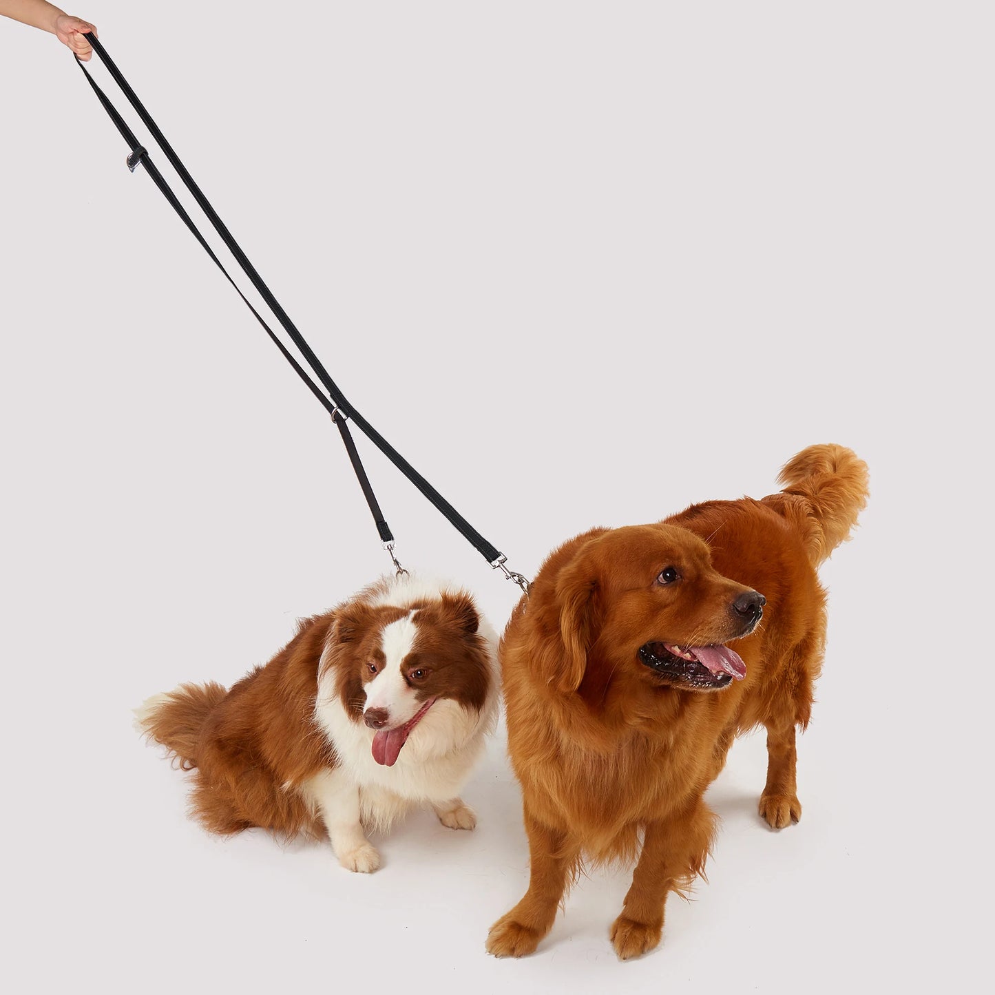 FlexiPaw Dual Dog Leash