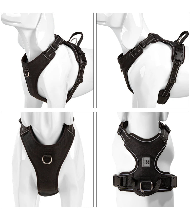 NoPull PawFit Harness