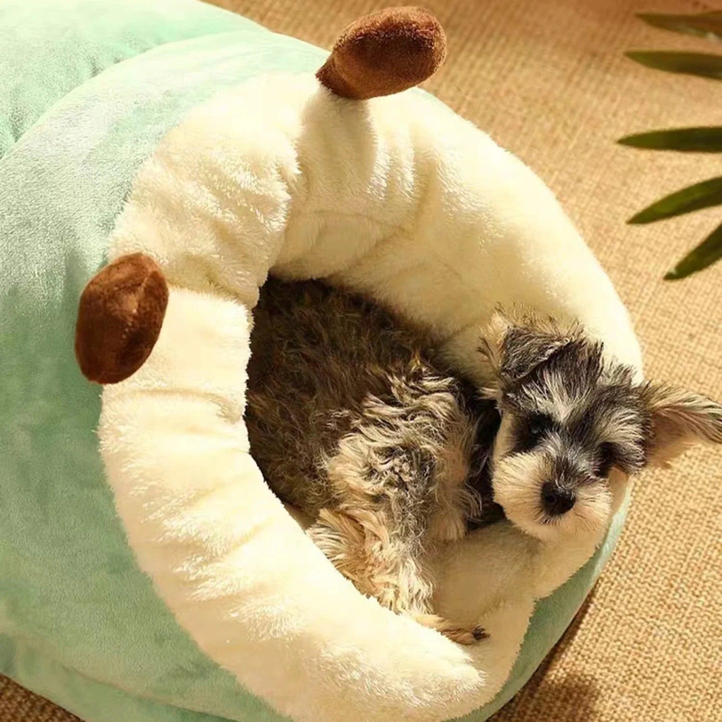 Cozy Slipper Dog Bed