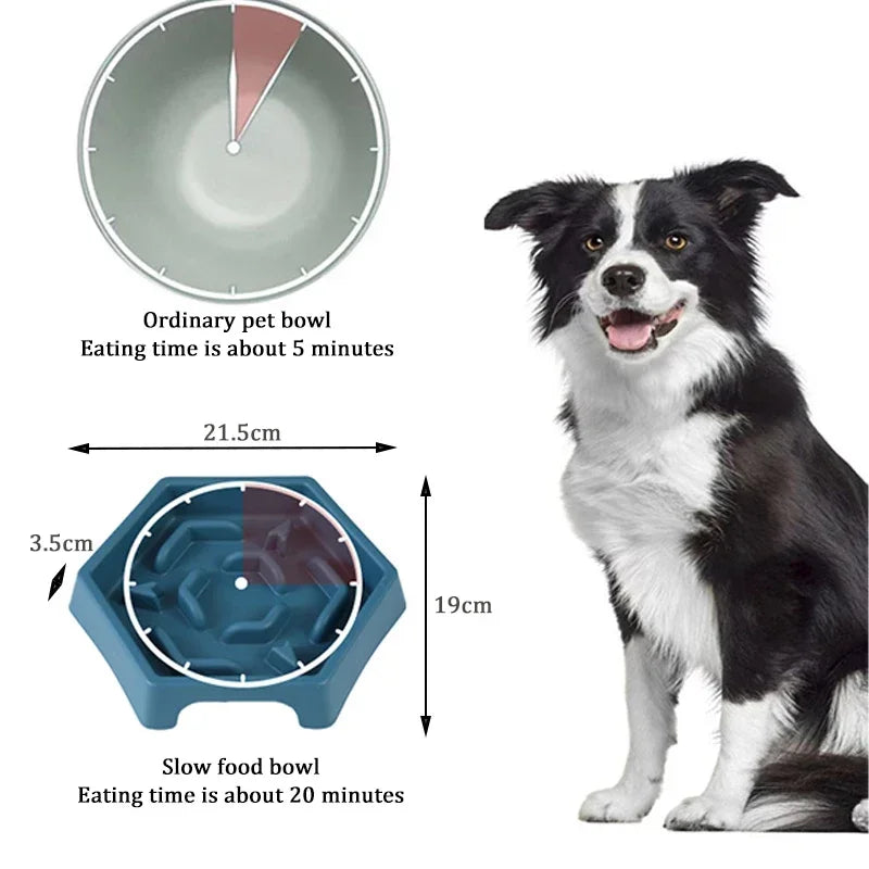 Anti-Choke Slow Feed Bowl