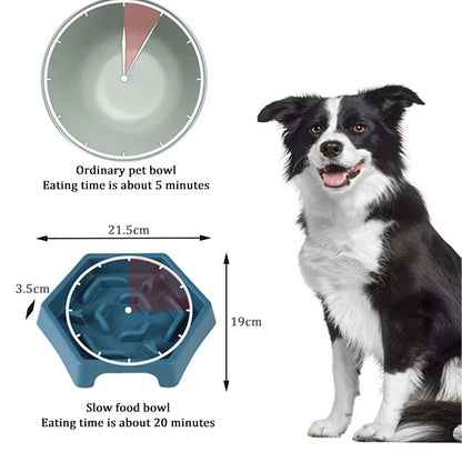 Anti-Choke Slow Feed Bowl